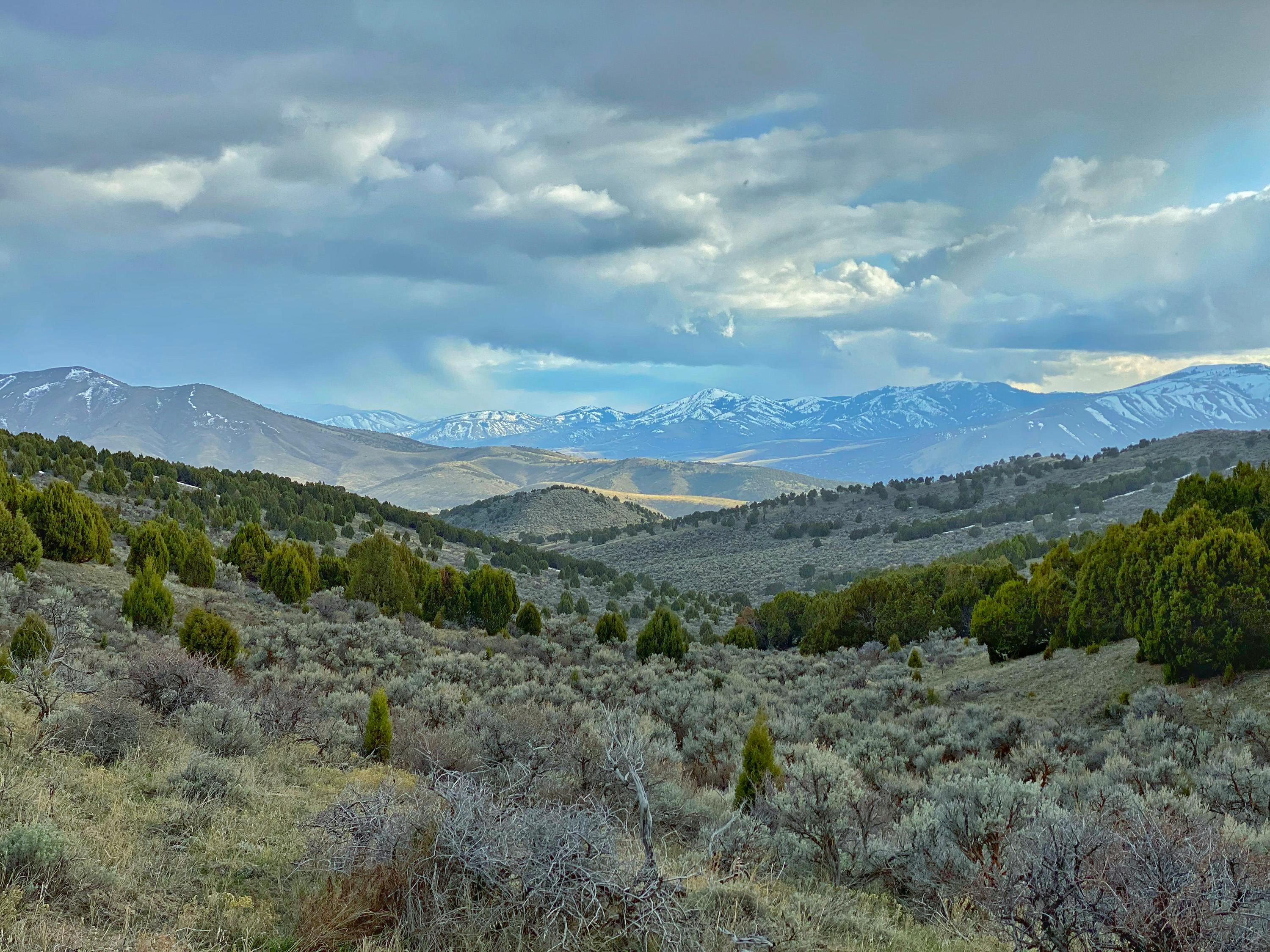 Sagebrush hills with snow-capped mountains in the distance