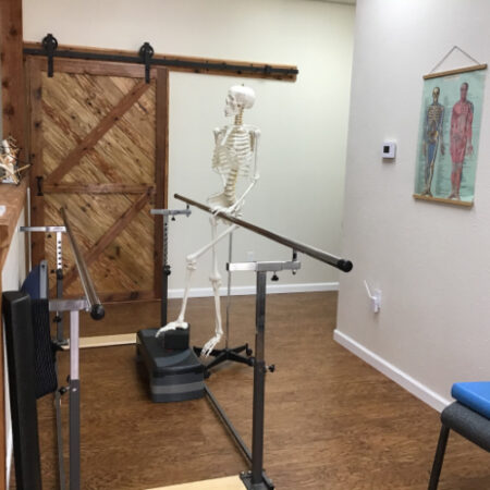 Parallel bars and a wooden barn door inside the clinic, with a model skeleton and an anatomy poster on the wall
