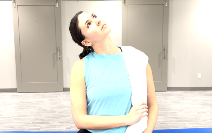 Newsletter Video, February 2023, photo 3