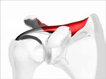 Shoulder anatomy illustration